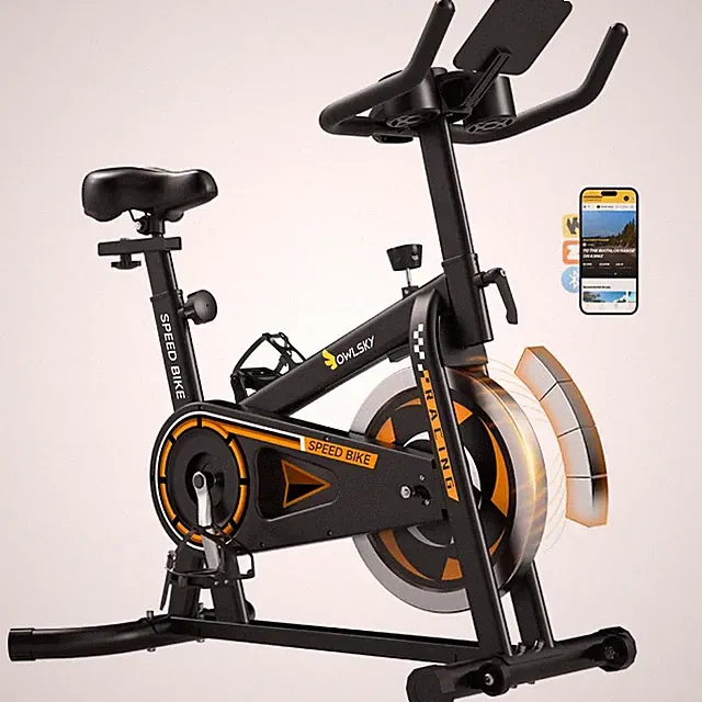 Exercise Bike Stationary Indoor Cycling 300 lb Capacity Friction Black OW-630